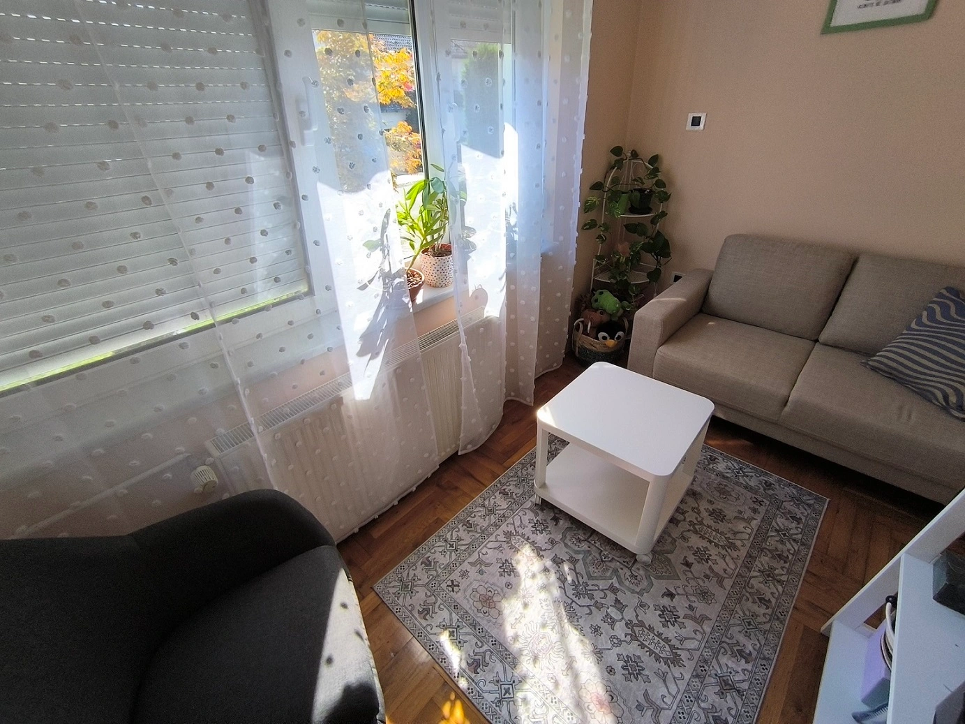 EMDR terapija, desenzibilizacija i kognitivno restrukturiranje